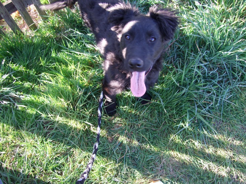 Ostern 2007 Orleshausen 087 